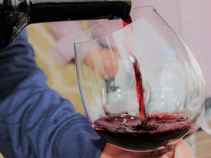Home of Zinfandel Grape Tour | Taste Dalmatia